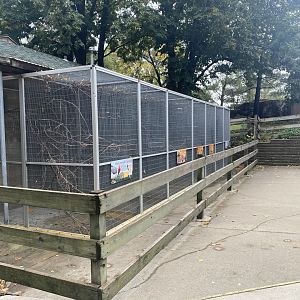 Tropical Birds Cages