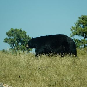 9/7/2021 - On Patrol