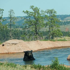 9/7/2021 - A Pool With a View!