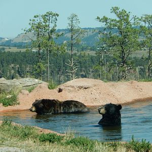 9/7/2021 - Ahh, This is the Life!