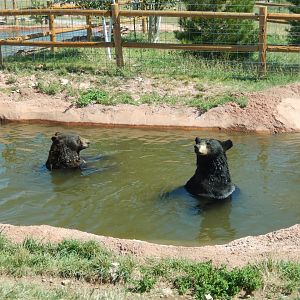 9/7/2021 - Pool Pals