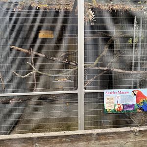 Tropical Birds - Scarlet Macaw Exhibit