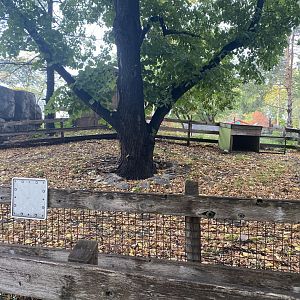 Tropical Birds - Empty Exhibit