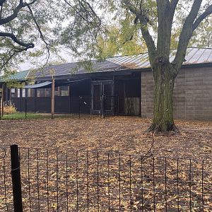 Tropical Birds - Galapagos Tortoise Exhibit