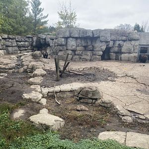 Fortress of the Bears - Grizzly Bear Exhibit #1