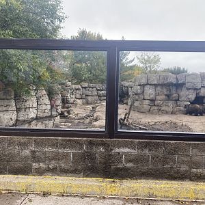 Fortress of the Bears - Grizzly Bear Exhibit #1