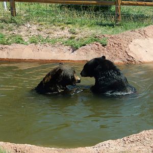 9/7/2021 - This is My Pool!