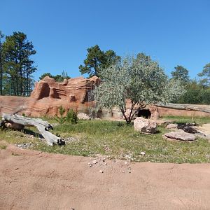 9/7/2021 - Javelina Habitat