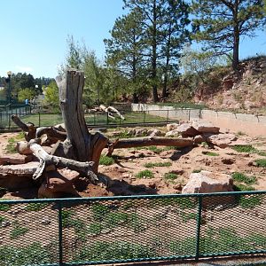 9/7/2021 - American Badger Exhibit