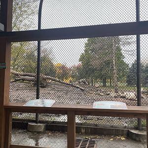 Fortress of the Bears- Grizzly Bear Exhibit #2