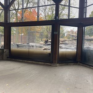 Fortress of the Bears- Grizzly Bear Exhibit #2