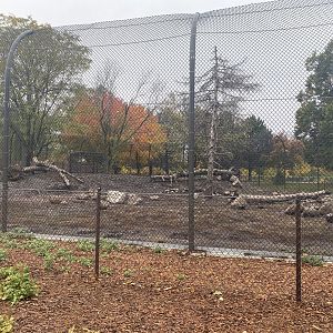 Fortress of the Bears - Grizzly Bear Exhibit #2