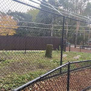 North America- Former Anteater Exhibit