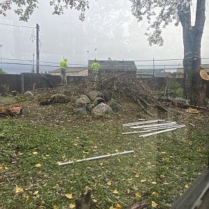 North America- Former Giant Anteater Exhibit