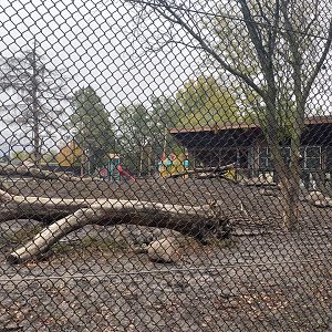Fortress of the Bears - Grizzly Bear Exhibit #2