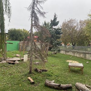 Fortress of the Bears - American Black Bear Exhibit
