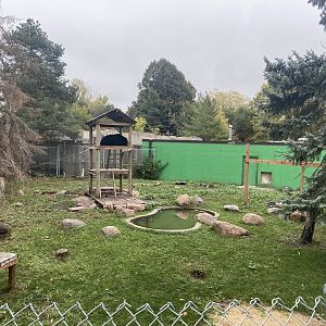 Fortress of the Bears - American Black Bear Exhibit