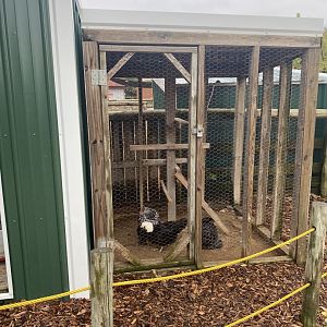 Hyvee Face-to-Face Farm - Chicken Coop