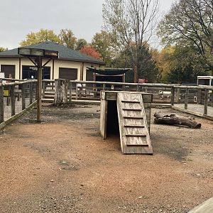 Hyvee Face-to-Face Farm Jacob’s Sheep Exhibit