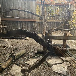 Red-Tailed Hawk Exhibit