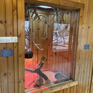 Gila Monster Terrarium