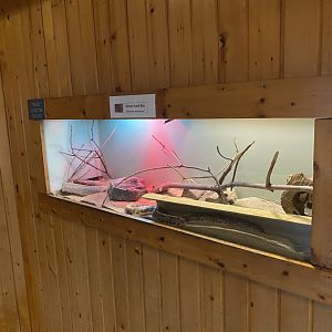 Kenyan Sand Boa Terrarium