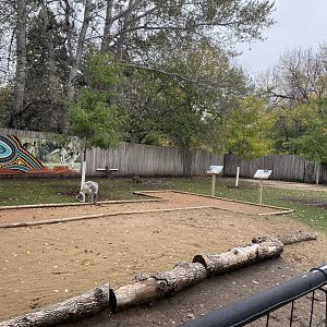 Walkabout Australia - Kangaroo Exhibit