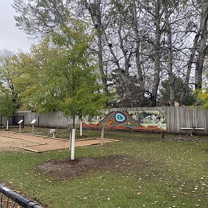 Walkabout Australia - Kangaroo Exhibit