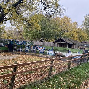 Walkabout Australia- Emu Exhibit