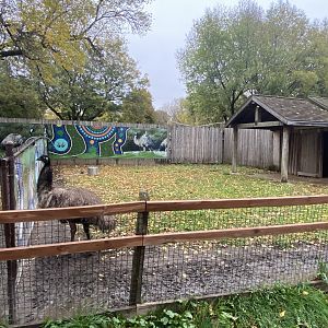 Walkabout Australia - Emu Exhibit