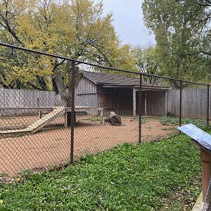 Walkabout Australia - New Guinea Singing Dog Exhibit