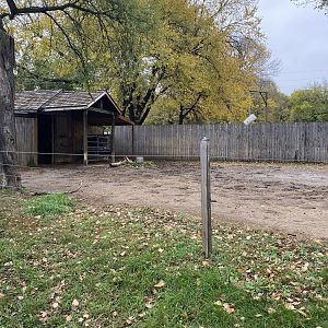 Walkabout Australia - Bactrian Camel Exhibit