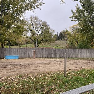 Walkabout Australia- Bactrian Camel Exhibit