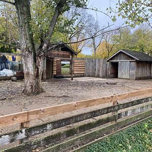Walkabout Australia - Shetland Sheep Exhibit