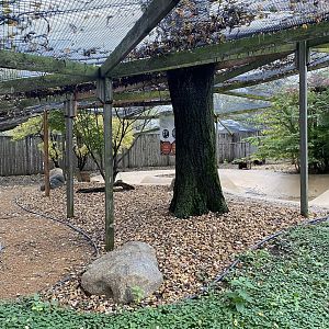 Walkabout Australia - Australian Aviary