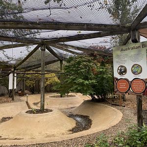 Walkabout Australia - Australian Aviary