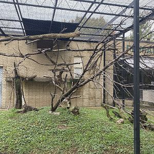 Primate Building - Common Squirrel Monkey Outdoor Exhibit