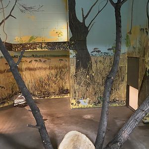 Primate Building - Former Siamang Exhibit