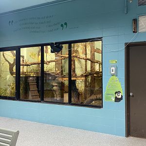 Primate Building - Mantled Guereza Exhibit