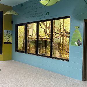 Primate Building - Common Squirrel Monkey Exhibit