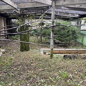 Aviaries -  Empty Exhibit