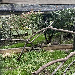 Aviaries - Scarlet Ibis Exhibit