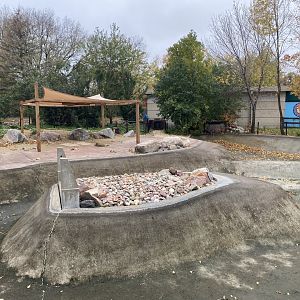 Outdoor Humboldt Penguin Exhibit