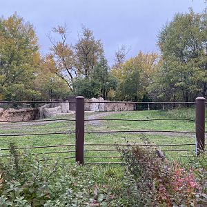 Rare Rhinos of Africa - Eastern Black Rhinoceros Exhibit