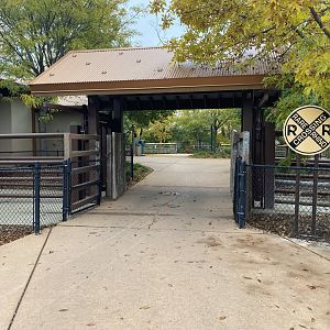 Rare Rhinos of Africa - Rhino Crossing