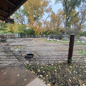Rare Rhinos of Africa - Eastern Black Rhinoceros Exhibit