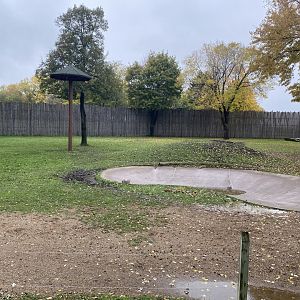 African Savanna - Generic Giraffe/Grevys Zebra/Common Ostrich/Grey-Crowned Crane Exhibit