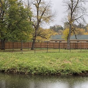African Savanna - Eastern Bongo Exhibit