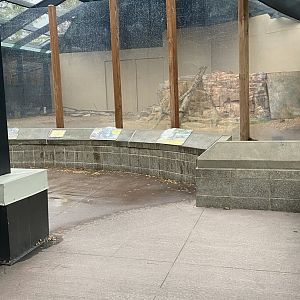 Komodo Dragon Exhibit