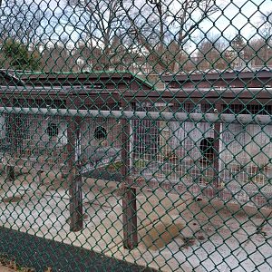 Johnson Park Jan 21 - Empty (?) hutches